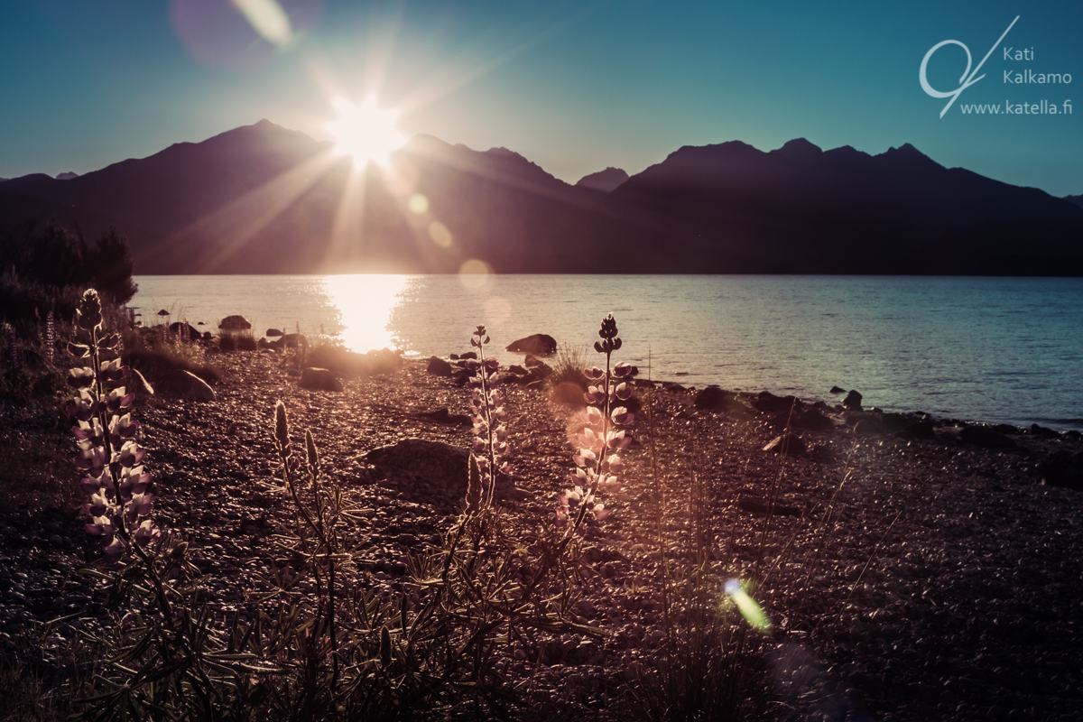Aika pohdinnoille. Manapouri järvi, Uusi-Seelanti. Valokuvaaja Kati Kalkamo.