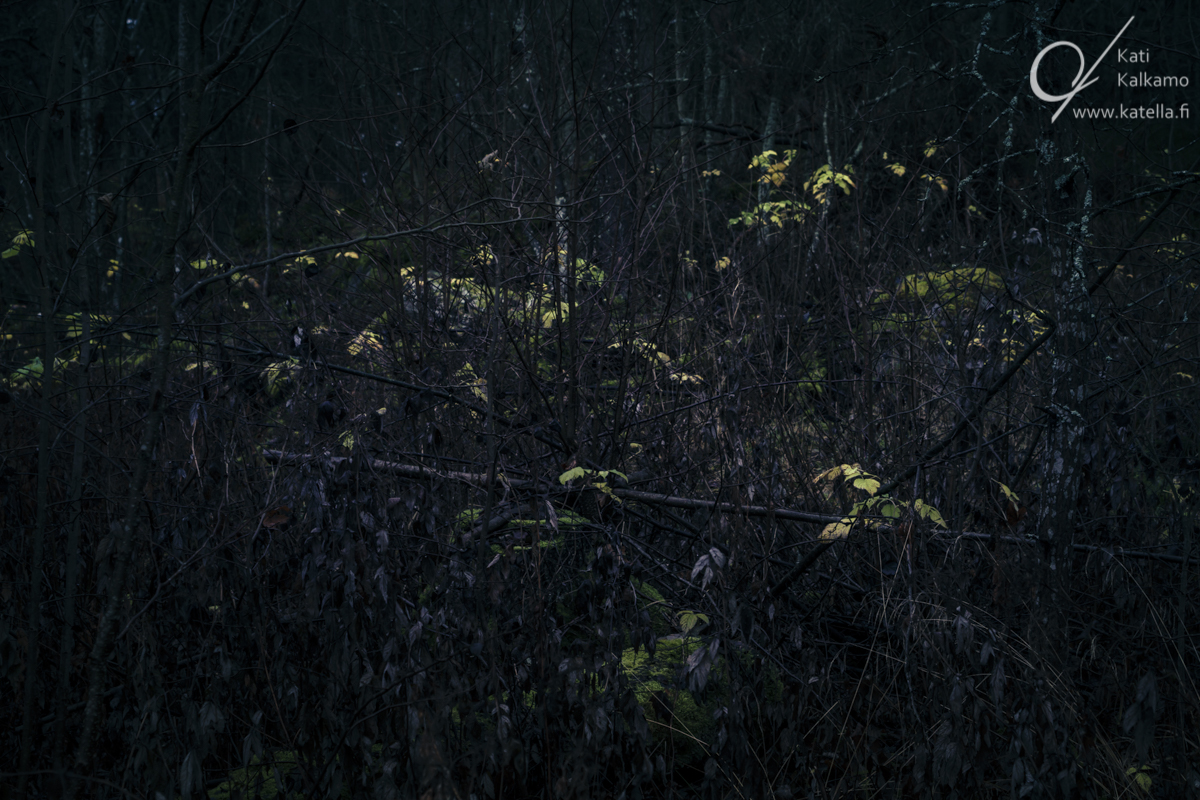 No matter the circumstances. Photographer Kati Kalkamo
