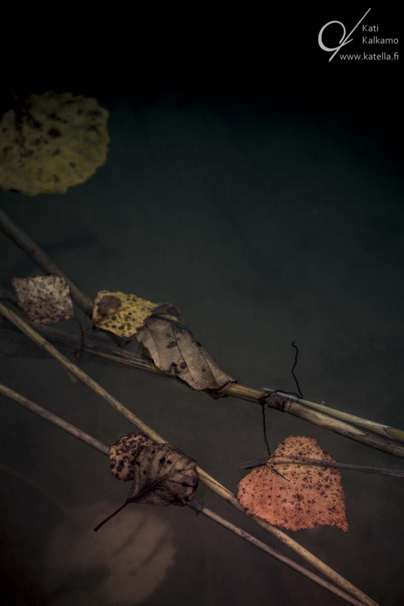Illusion of separation - Photographer Kati Kalkamo