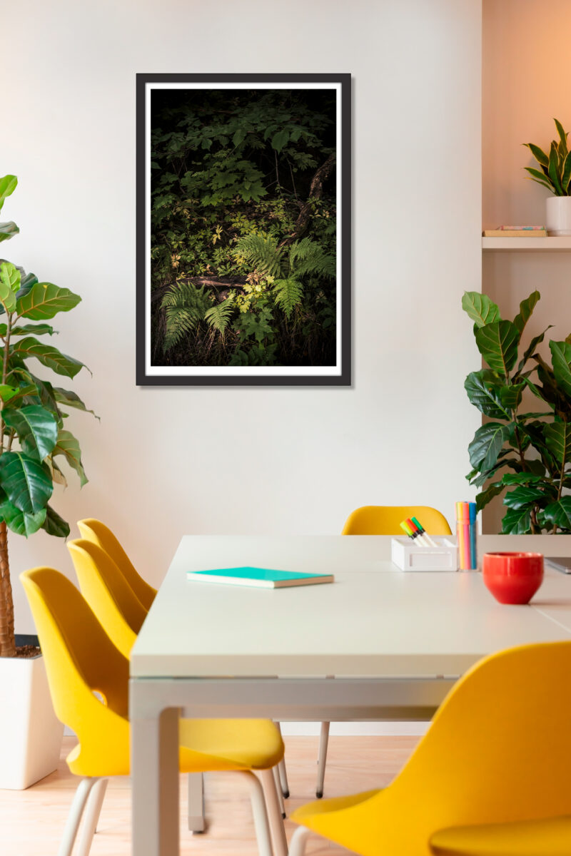 Place for everything. Fine art inkjet pigment print in the office. Photographer Kati Kalkamo.