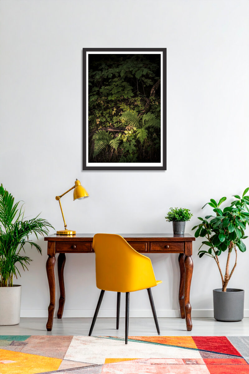 Place for everything. Fine art inkjet pigment print in a home office. Photographer Kati Kalkamo.