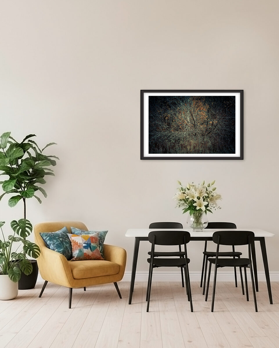 Now you can see me. Fine art inkjet pigment print. Photographer Kati Kalkamo.