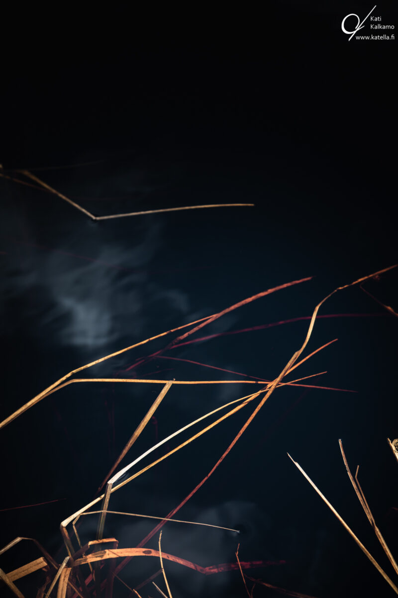 All life above all, photographer Kati Kalkamo