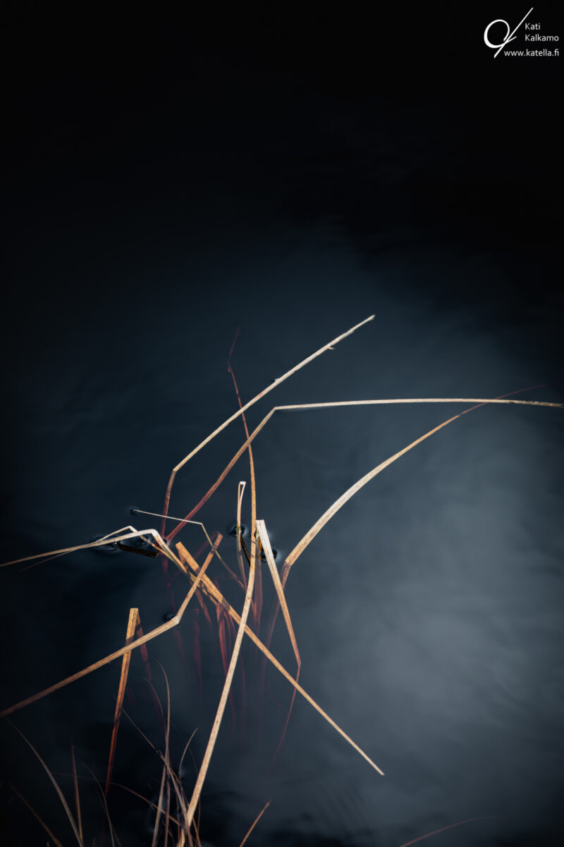 Trust the process, photographer Kati Kalkamo