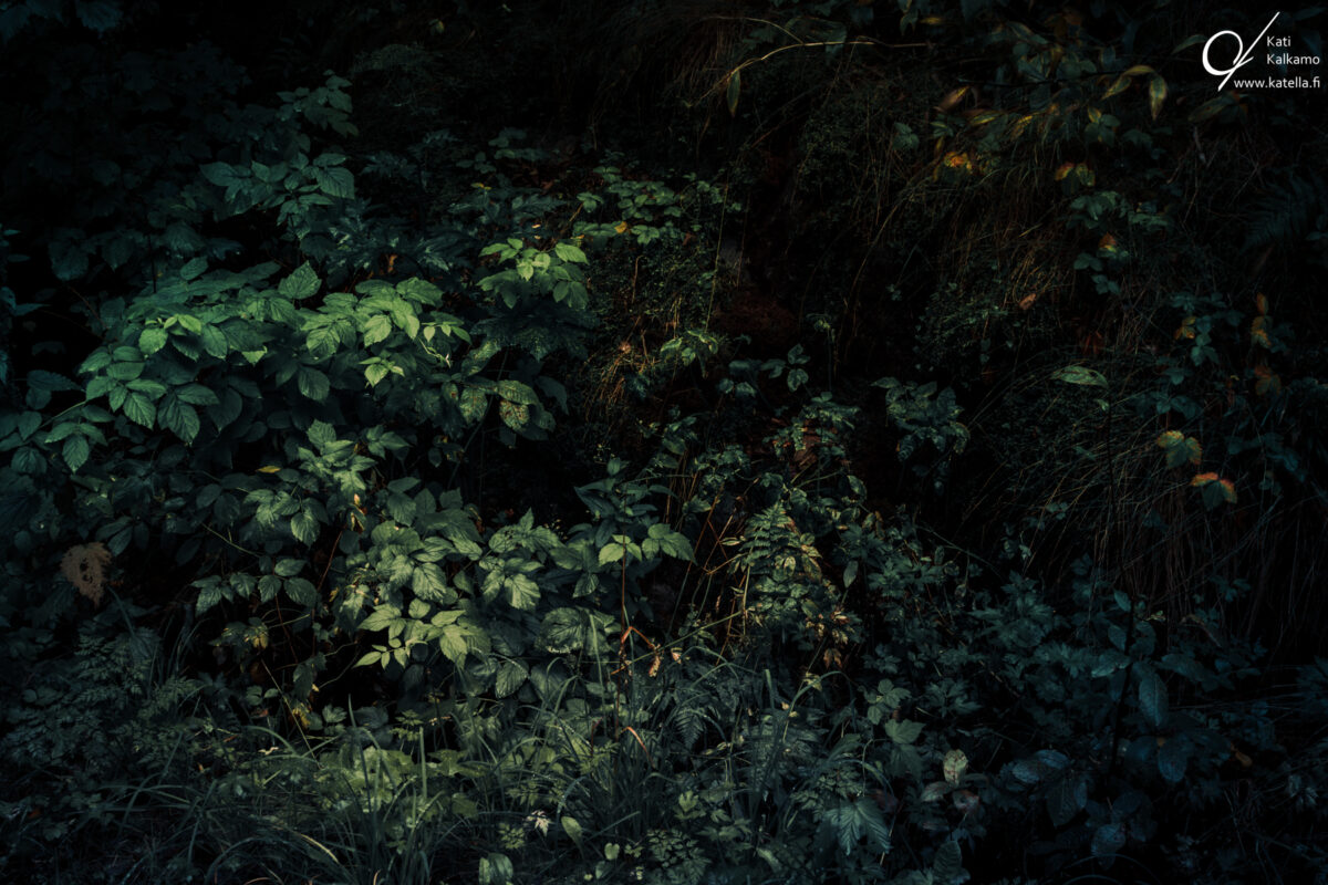 When we didn't waste time, photographer Kati Kalkamo
